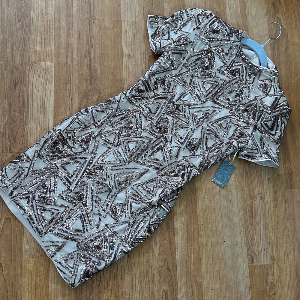 Sequin Embellished Dress